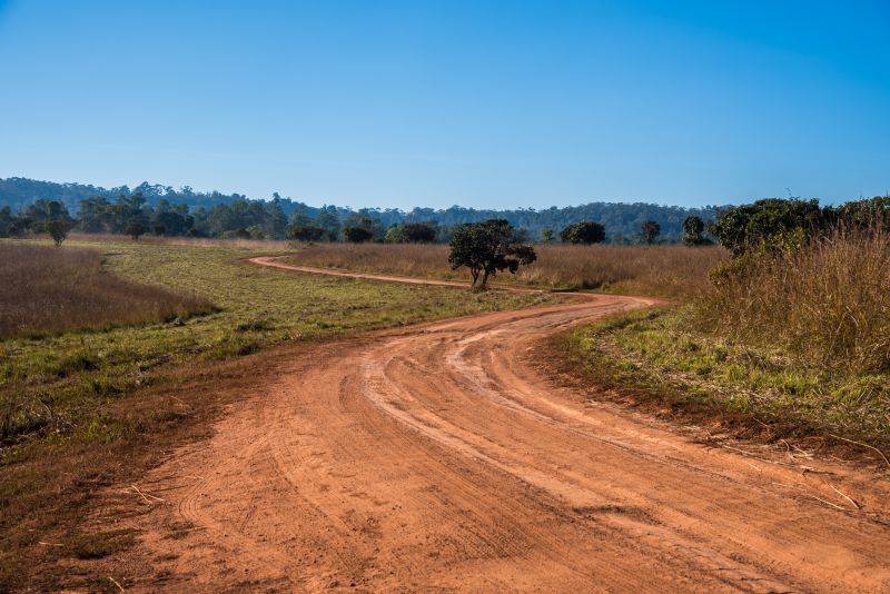 Dirt Road Repair in Spring