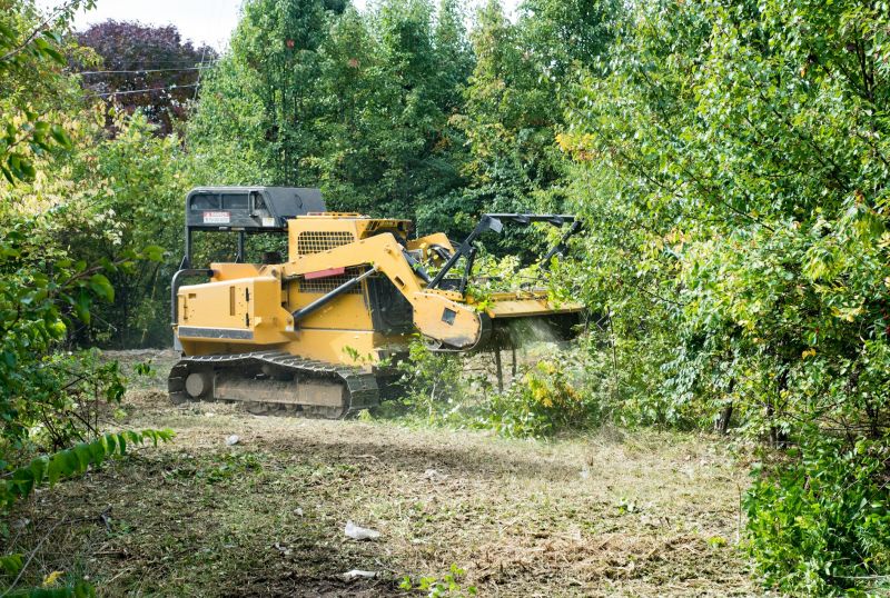 Thicket Clearing in Marietta, GA